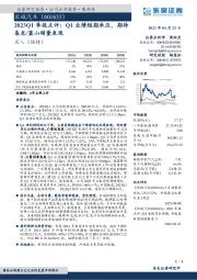 2023Q1季报点评:Q1业绩短期承压,期待枭龙/蓝山销量表现