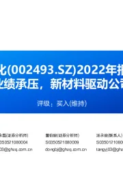 2022年报点评:高油价致业绩承压,新材料驱动公司持续成长