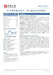 22年营收基本持平，防火墙龙头地位稳固