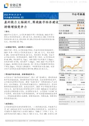 盈利能力大幅提升,围绕数字经济建设持续增强竞争力