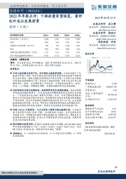 2022年年报点评：下游放量有望恢复，看好红外龙头发展前景