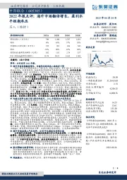 2022年报点评:海外市场翻倍增长,盈利水平短期承压