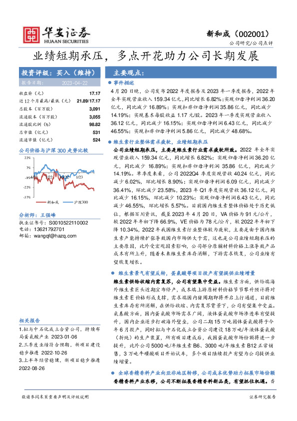 业绩短期承压，多点开花助力公司长期发展