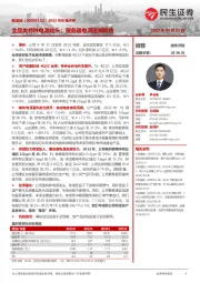2022年年报点评:全品类特种电源龙头;服务器电源进展较快