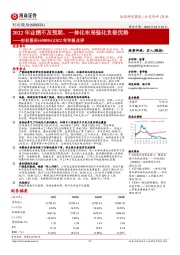 2022年年报点评：2022年业绩不及预期，一体化布局强化负极优势