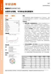 业绩符合预期,半导体业务拓展顺利