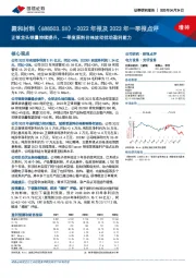 2022年报及2023年一季报点评:正银龙头销量持续提升,一季度原料价格波动扰动盈利能力