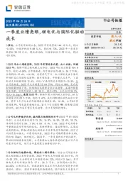 一季度业绩亮眼,锂电化与国际化驱动成长
