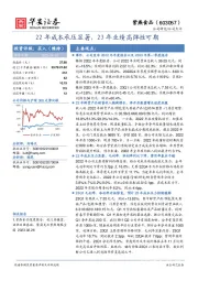 22年成本承压显著，23年业绩高弹性可期