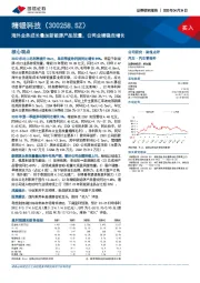 海外业务成长叠加新能源产品放量,公司业绩稳定增长