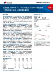 2022年报及2023年一季报点评:一季度盈利能力承压,单壁碳管放量在即