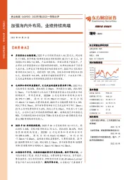 2022年报&2023一季报点评:加强海内外布局,业绩持续高增