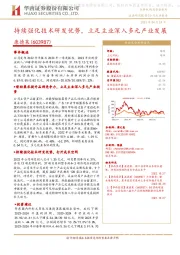 持续强化技术研发优势,立足主业深入多元产业发展