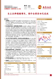 自主品牌稳健增长,海外仓探索初见成效