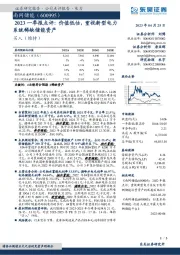 2023一季报点评：价值低估，重视新型电力系统稀缺储能资产