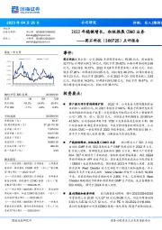 点评报告:2022年稳健增长,积极推展CDMO业务