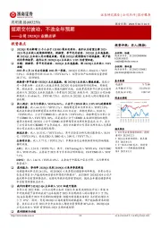 2023Q1业绩点评：短期交付波动，不改全年预期