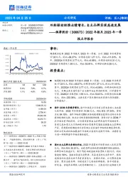 2022年报及2023年一季报点评报告：双轮驱动助推业绩增长，自主品牌实现高速发展