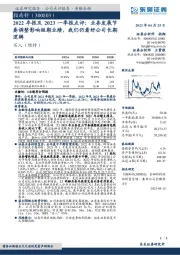 2022年报及2023一季报点评:业务发展节奏调整影响短期业绩,我们仍看好公司长期逻辑