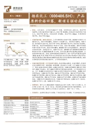 产品原料价格回落,新项目驱动成长