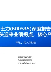 深度报告：创新中药龙头迎来业绩拐点，核心产品放量可期