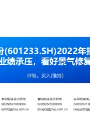 2022年报点评：聚酯龙头短期业绩承压，看好景气修复、成长双驱动