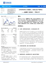 一季报点评:归母净利环比大幅增长,轮胎业务产销两旺