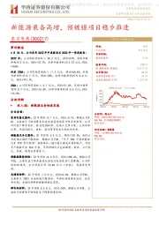 新能源装备高增，预镀镍项目稳步推进