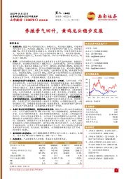 养殖景气回升，黄鸡龙头稳步发展