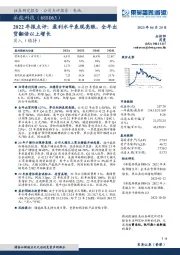 2022年报点评：盈利水平表现亮眼，全年出货翻倍以上增长