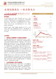 系列点评二十六:业绩短期承压,一体压铸先行