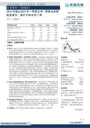 2022年报&2023年一季报点评：常规业务持续高增长，海外市场空间广阔