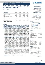 2022年报及2023一季报点评：业绩维持高增，看好个贷不良新机遇