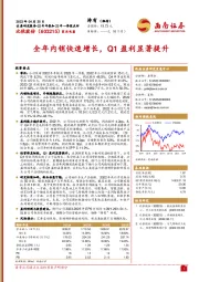 全年内销快速增长，Q1盈利显著提升