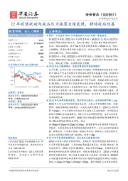 22年疫情扰动与成本压力拖累业绩表现，静待疫后改善