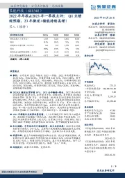 2022年年报&2023年一季报点评：Q1业绩超预期，23年微逆+储能持续高增！