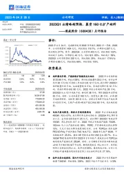点评报告:2023Q1业绩略超预期,募资160亿扩产硅料