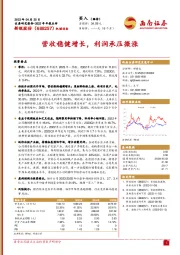 营收稳健增长,利润承压微涨