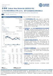 22年归母净利润同比下降45.95%，海外业务逐渐成为新的增长点