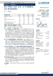 2022年报及23Q1点评:22年业绩承压,23Q1盈利恢复增长