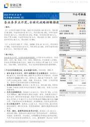 各业务多点开花,全球化战略持续推进