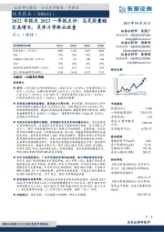 2022年报及2023一季报点评：乌灵胶囊稳定高增长，灵泽片等新品放量