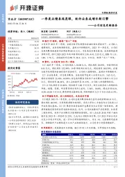 公司信息更新报告：一季度业绩表现亮眼，软件业务成增长新引擎