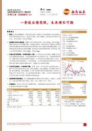一季报业绩亮眼,未来增长可期