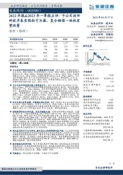 2022年报&2023年一季报点评:子公司洪田科技并表实现扭亏为盈,复合铜箔一体机有望放量