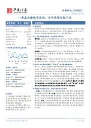 一季度业绩略有波动,全年高增目标不变