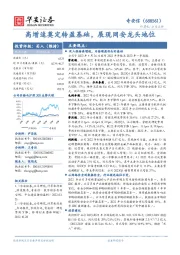 高增速奠定转盈基础，展现网安龙头地位