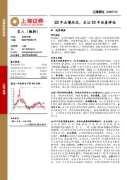 22年业绩承压，关注23年改善弹性