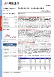 公司信息更新报告：年报季报业绩承压，关注黑色需求及氢能