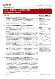 奕瑞科技2023一季报点评：2023Q1业绩提速，全年高增长可期